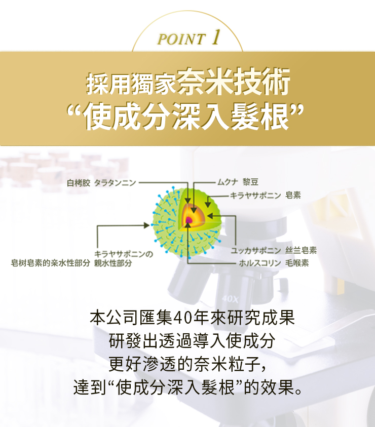 P1.jpg