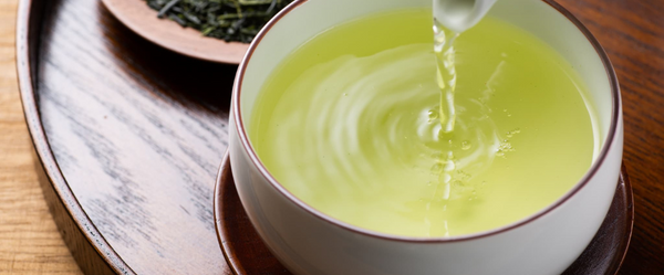 Guide to Japanese Sencha