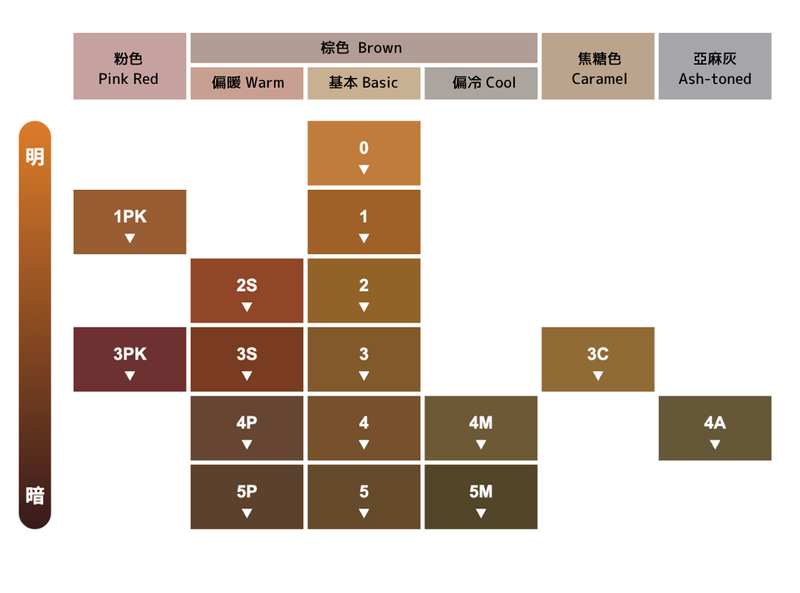宣若EX系列 色號.png