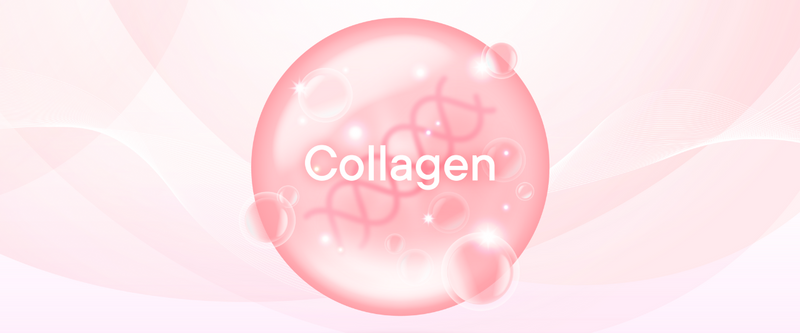 15 Recommended Shiseido Collagen Products from Japan.png