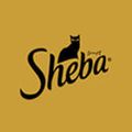 Sheba(シーバ)