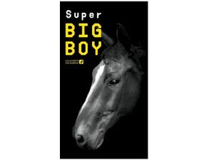 Super Big Boy (12 pieces)