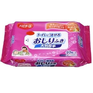 Habinurse 可冲散湿巾，大号，厚款（成人适用），40 片