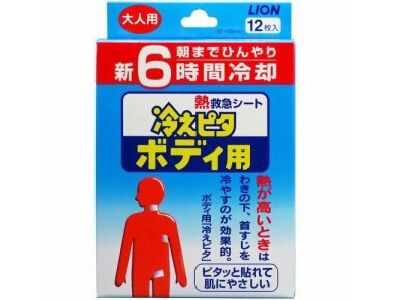 冷えピタボディ用6時間大人用(12枚)