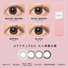 ReVIA 1day CIRCLE [彩色隱形眼鏡/日拋/有無度數/10片裝]