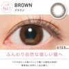 ReVIA 1day CIRCLE [彩色隱形眼鏡/日拋/有無度數/10片裝]