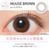 ReVIA 1day CIRCLE [彩色隱形眼鏡/日拋/有無度數/10片裝]