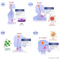 【指定第2類医薬品】イブA錠 / 60錠
