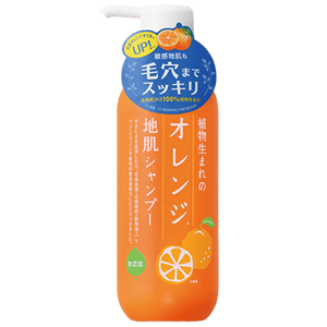 Ishizawa orange background Head Spa N 180ml