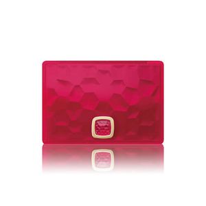 Prior Compact Case