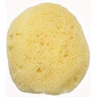 DHC Natural Body Sponge (for Children)