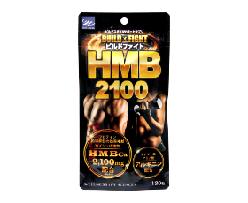 빌드 파이트 HMB2100 120 알갱이