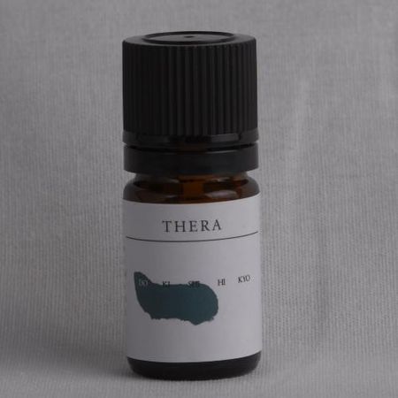 한방 음양오행론 에센셜 오일 5mL