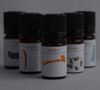 한방 음양오행론 에센셜 오일 5mL 기(氣)