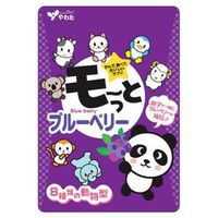 Mootto 蓝莓 20 天用量（40 粒胶囊）