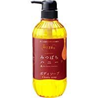 Hanamitsusei bees Honey Body Wash 500mL