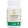 锯叶棕EX 120球（约30天）