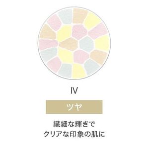 优雅香格里拉贵宾自动细微Ⅲ笔芯8.8克