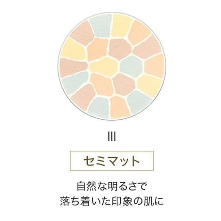 Elegance La Poudre Auto Nuance III 补充装 8.8 克