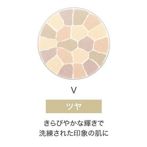 优雅香格里拉贵宾自动细微Ⅴ笔芯8.8克