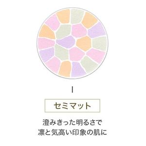 优雅香格里拉贵宾自动细微RikusuizuⅠ笔芯27克