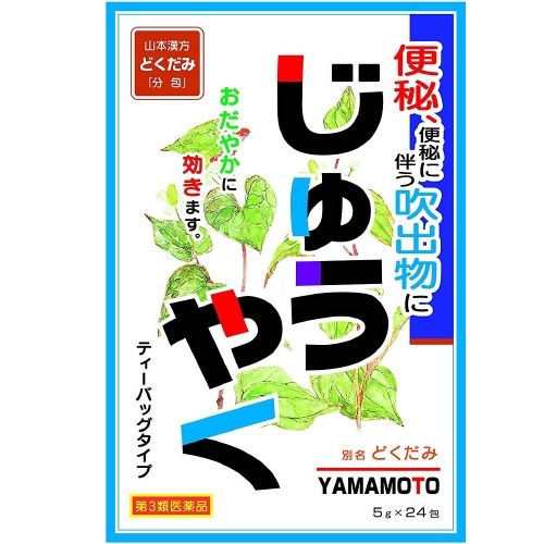 【第3類医薬品】日本薬局方 ジュウヤク  5g×24包