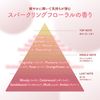 ディアボーテオイルインシャンプー(グロス&リペア)ポンプ