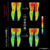 PRESS GEAR PREMIUM press gear premium for men compression Energy spats