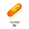팬클 팬클 코엔자임Q10 약 30일분 60정