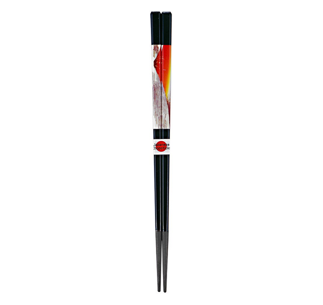 japan Import for sale online HAKOYA 23.0 Chopstick Case Set Zelkova Wood Grain 53315 