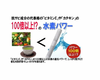 일본칼슘공업 파워 수소수 1개