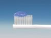 Clean Dental No Polishing