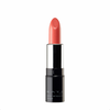 Kanebo Kate Color Wrapping Rouge OR-2