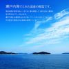 盐堆套装 - 好运净盐 400g - 盐堆容器 - 八角盘 2 个 - 好运濑户内海粗盐