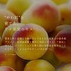 Lululun Precious RED 32 sheets (rich moisturizing type)