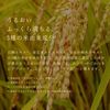 Lululun Precious RED 32 sheets (rich moisturizing type)