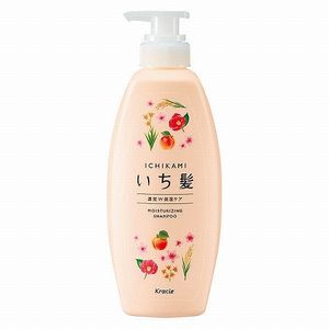 Ichi hair dense W moisturizing care Shampoo Pump 480mL