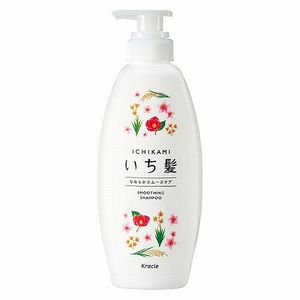 Ichi hair smooth Smooth care Shampoo Pump 480mL