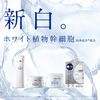 LITS White Medicated Stem Whitening Cream 30g [Quasi-Drug]