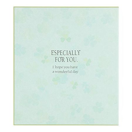 Midori Color Shikishi Bi-fold Clover Pattern 33140006 00842794 [Bulk Purchase 5-Pack]