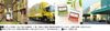 LUPICIA WHITE PEACH SENCHA - TEA BAG 10 PACK