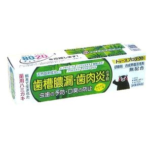 투스 프로텍트 100g