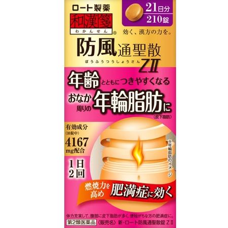 [第2类医药品] 乐敦新型防腐通生散ZⅡ 210片