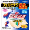 [2nd-Class OTC Drug] Omnide FB Plaster α 16 sheets