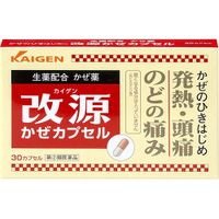 [指定第二类医药品] 凯根感冒胶囊 30粒