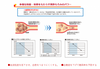 黑色EX高级版 90片
