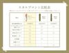 Belulu 炫彩头皮护理仪 光泽金色
