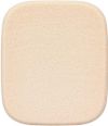 KATE Skin Cover Filter Foundation 06 (for light pink skin)