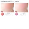 Visee Riche Foggy On Cheeks N BE821