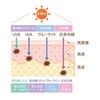 CLUB すっぴんホワイトニングクリーム イノセントフローラルの香り30g